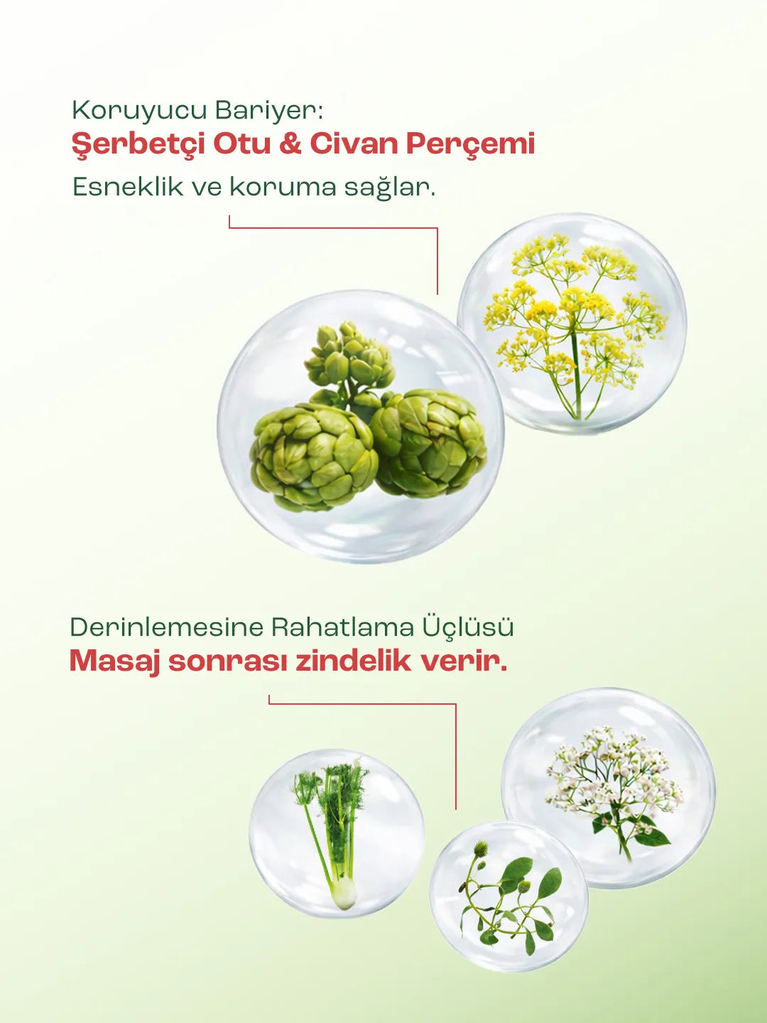 Horse Leaf Krauterhof At Kestanesi Masaj Jeli